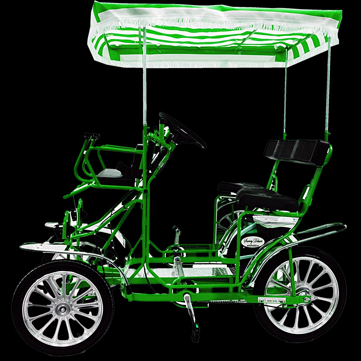 2 Person Surrey Limousine